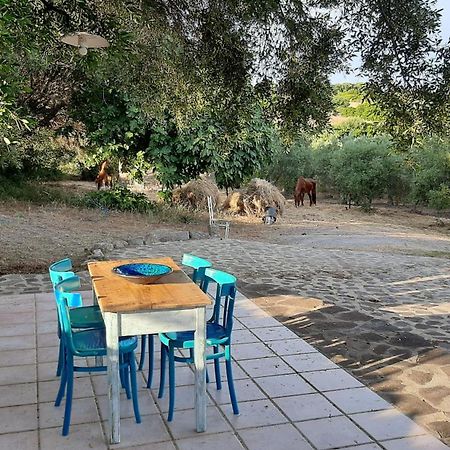 SantʼAntìoco Sa Ruscitta Bed & Breakfast エクステリア 写真