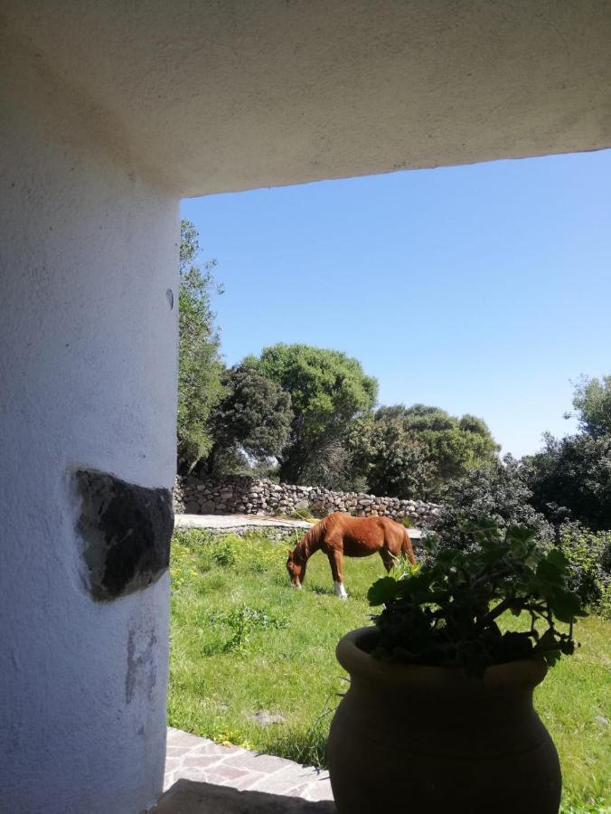 SantʼAntìoco Sa Ruscitta Bed & Breakfast エクステリア 写真