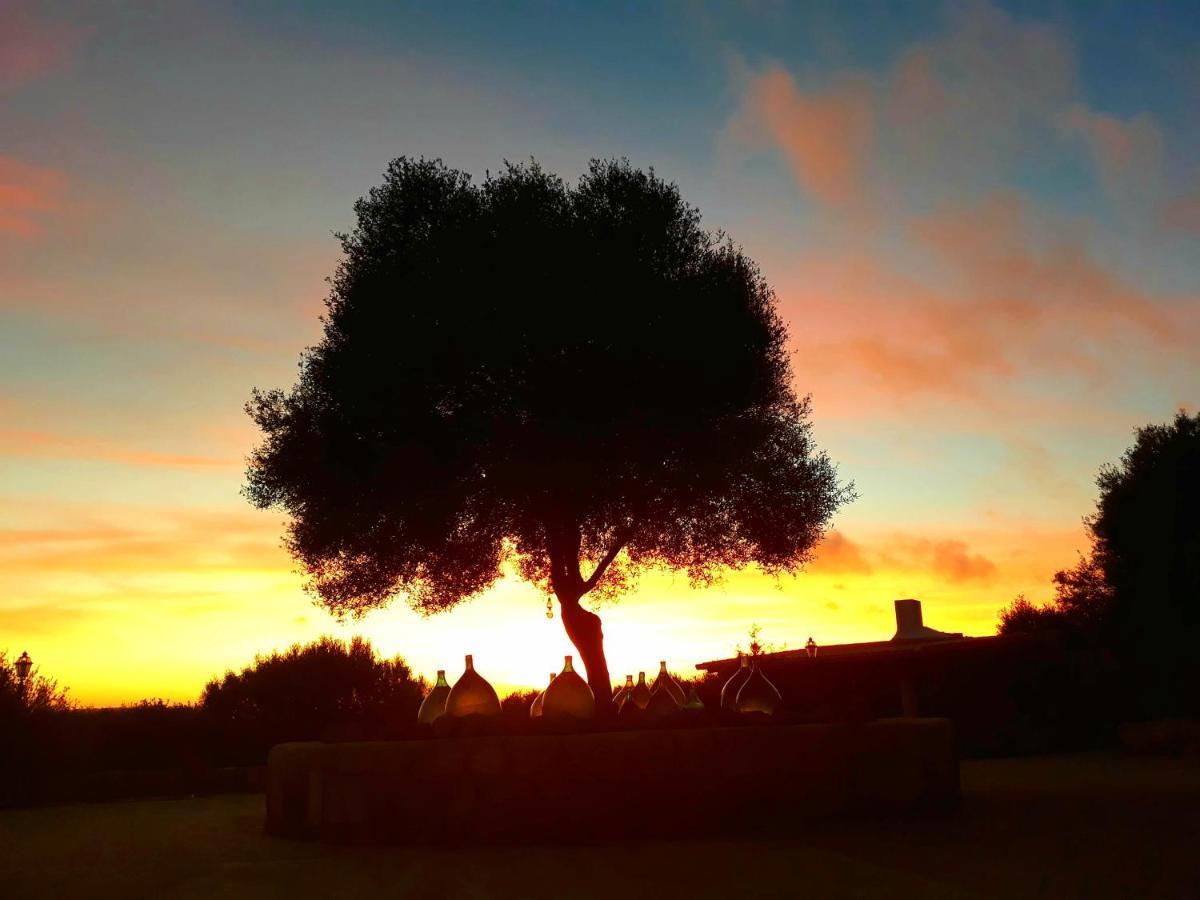 SantʼAntìoco Sa Ruscitta Bed & Breakfast エクステリア 写真