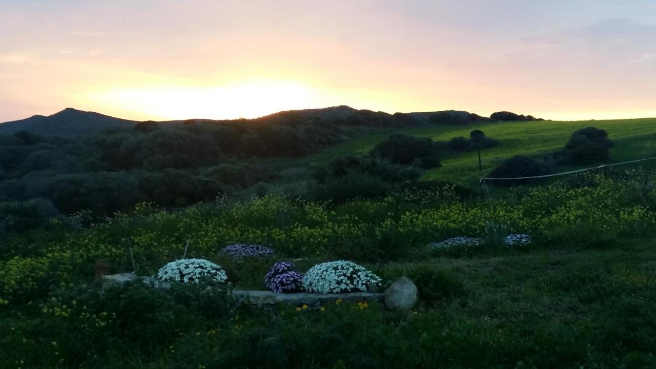 SantʼAntìoco Sa Ruscitta Bed & Breakfast エクステリア 写真