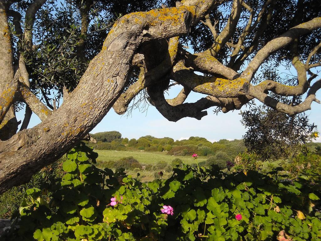 SantʼAntìoco Sa Ruscitta Bed & Breakfast エクステリア 写真